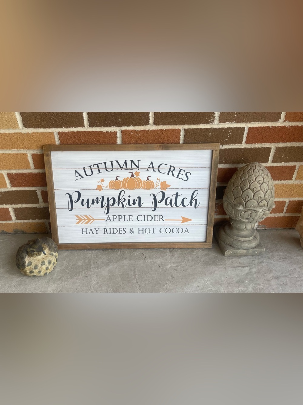 Autumn Acres Pumpkin Patch Framed Wall Sign - White & Orange